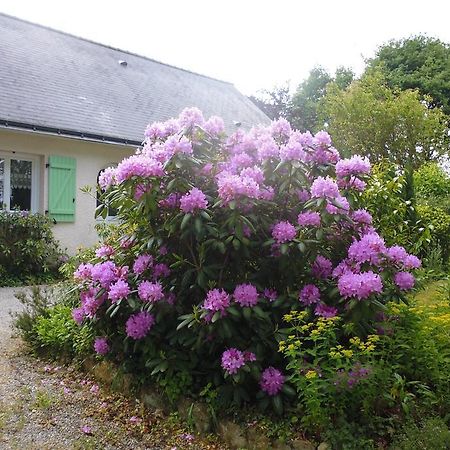Bed and Breakfast Le Pre De La Lande Ла-Шапель-сюр-Эрдр Экстерьер фото